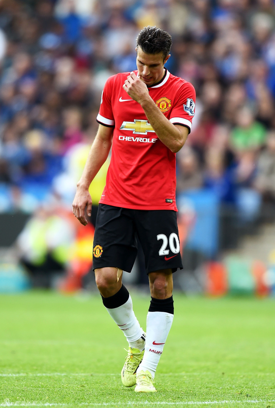 晋鹏翔：感谢每一位球迷，这一路有你们才够滚烫（晋鹏翔：感谢所有球迷，你们让这段旅程更滚烫）